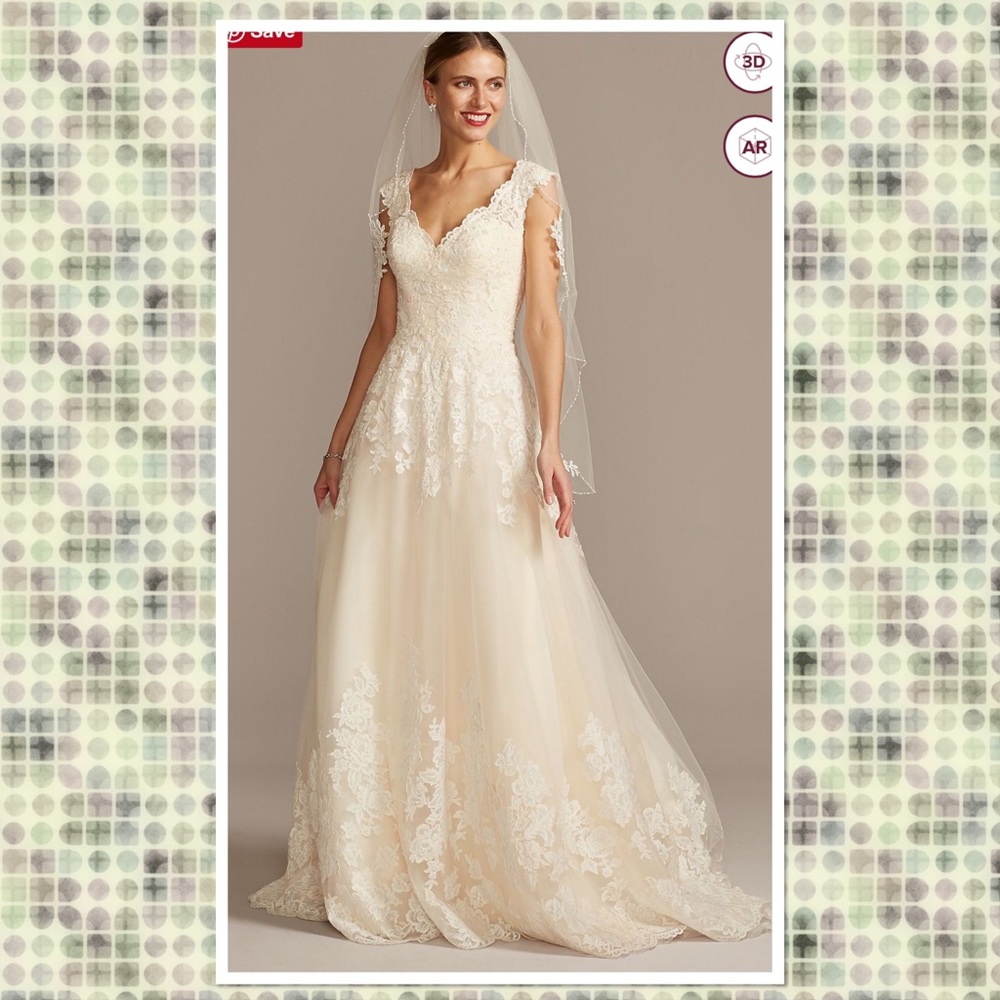 V-Neck Scalloped Lace and Tulle Wedding Dress